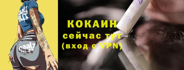 сатива Баксан