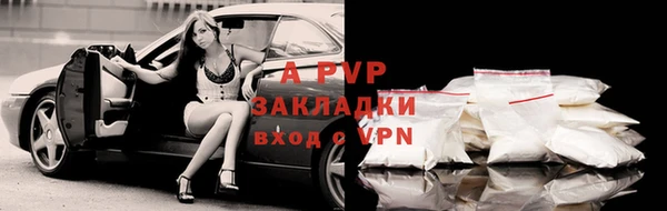 гидра Балахна