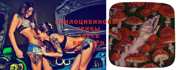 сатива Баксан