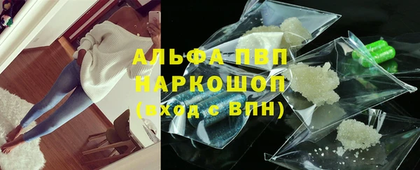 сатива Баксан